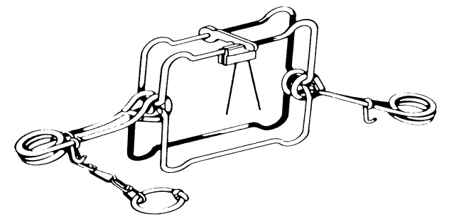 buy beginning ios storyboarding using